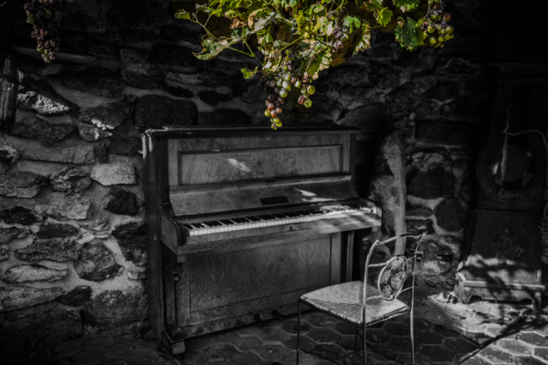 La musique au milieu des vignes
