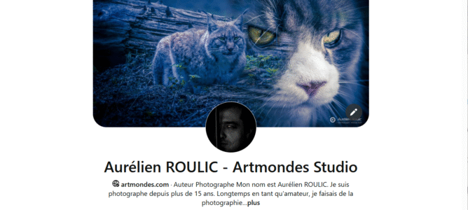 Présent sur Pinterest