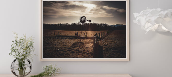 Deux nouvelles photos dans la boutique